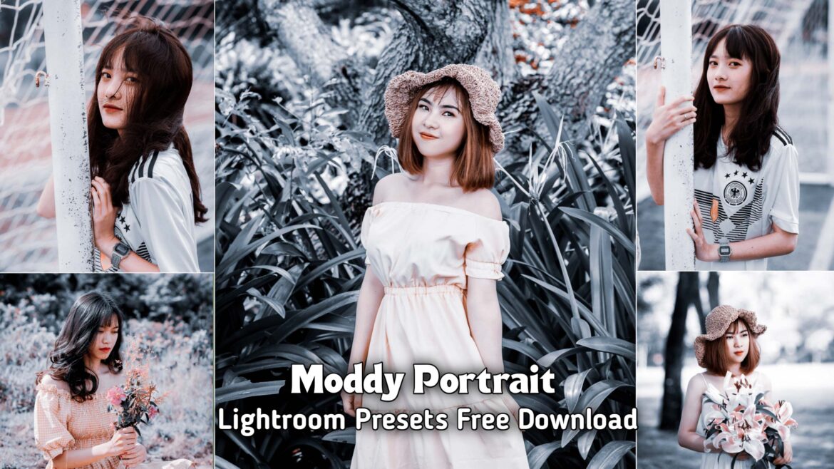 Moody Portrait Lightroom Preset Free Download