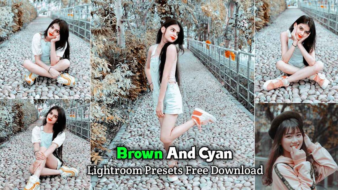 Cyan & Brown Lightroom Preset Download | Alfaz Creation