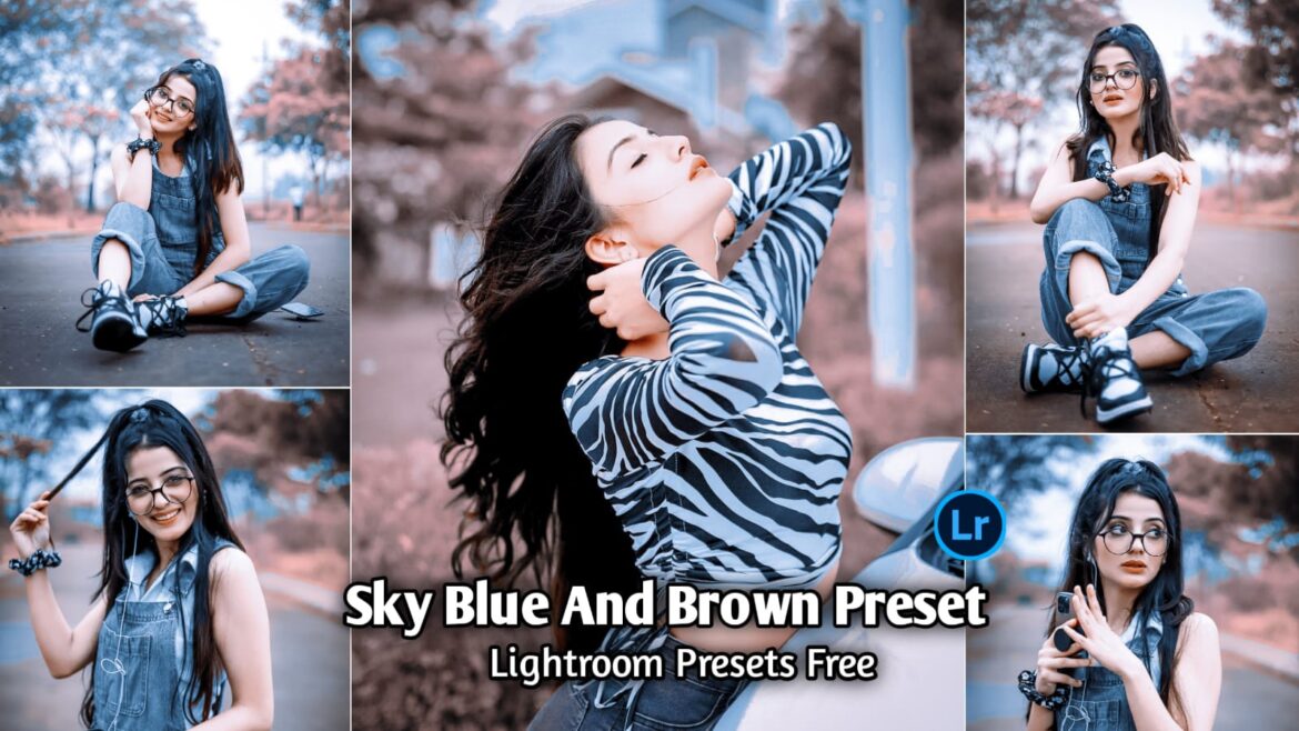Sky Blue and Brown Preset Download | BRD Editz