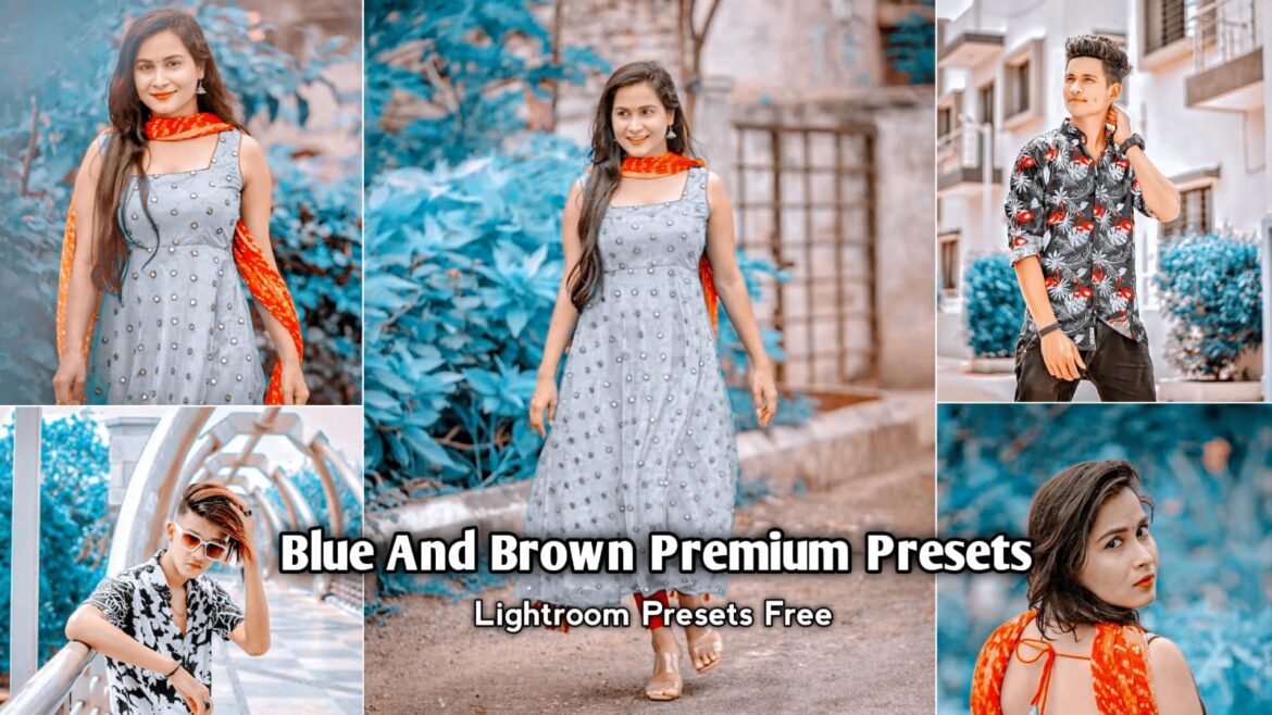 Blue and Brown Premium Lightroom Presets Download | BRD Editz