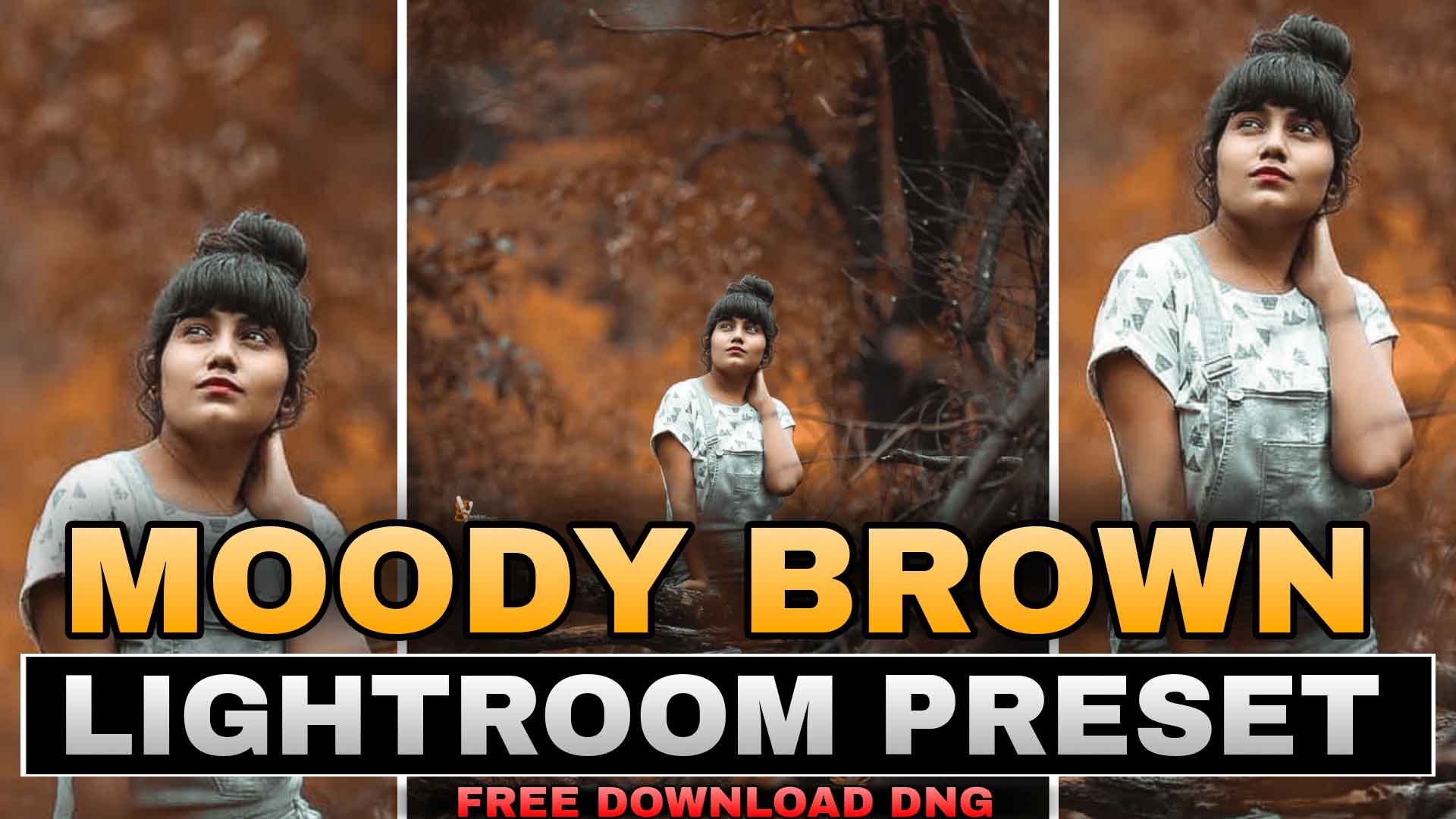 Moody-Brown-Preset-Download