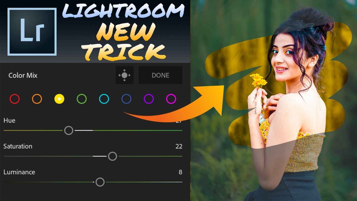 Top Yellow Lightroom Presets Download Now | Alfaz Creation