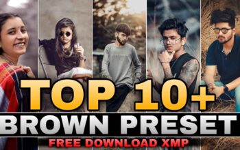 Top-Brown-Lightroom-Presets-Download