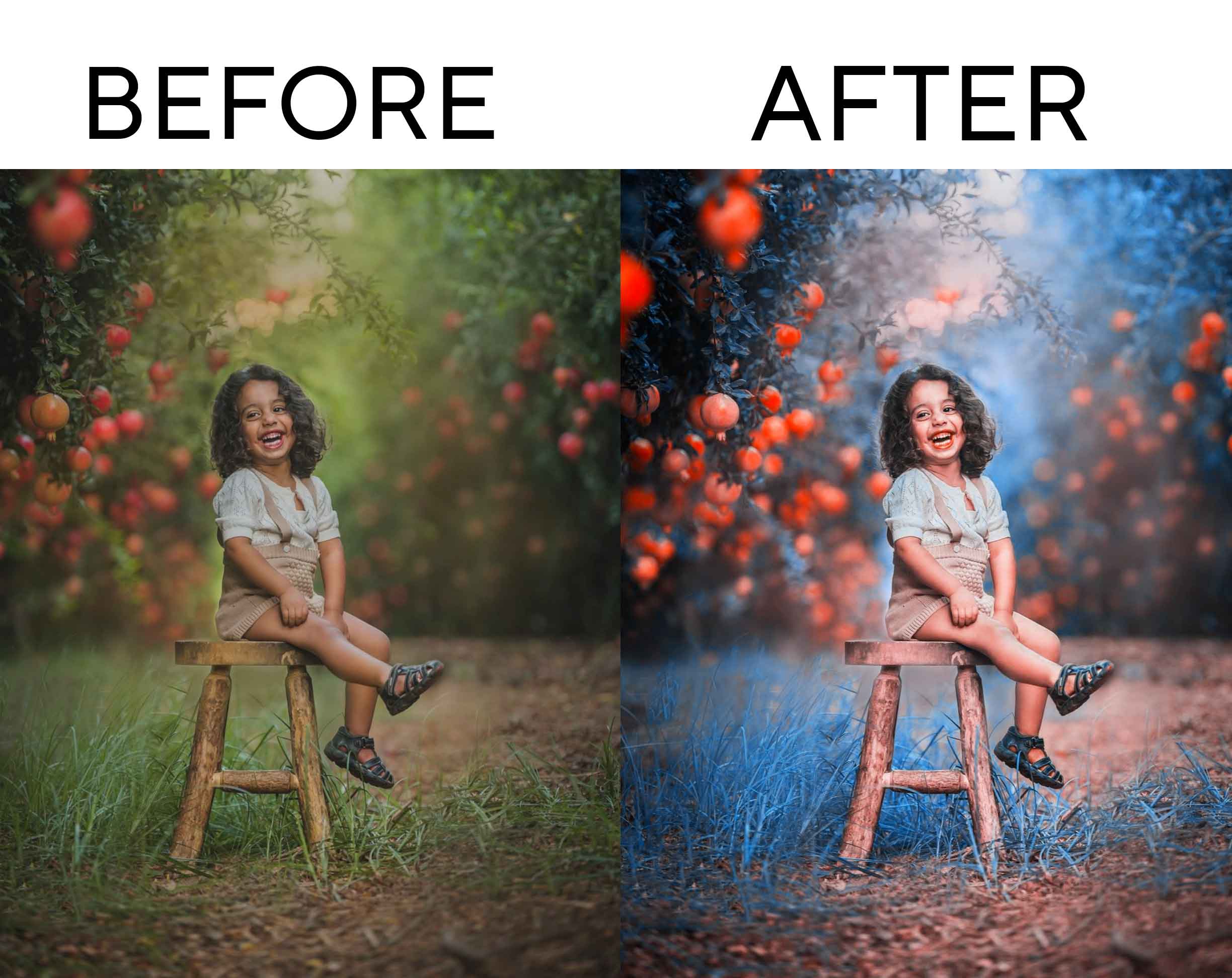 Top 505+ American Lightroom Presets